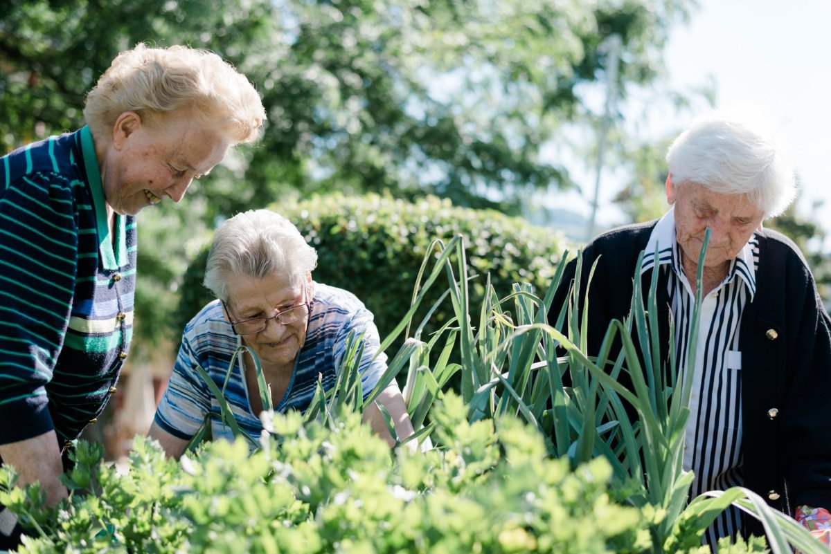 Bad St. Leonhard Sozialzentrum_2017_08_020