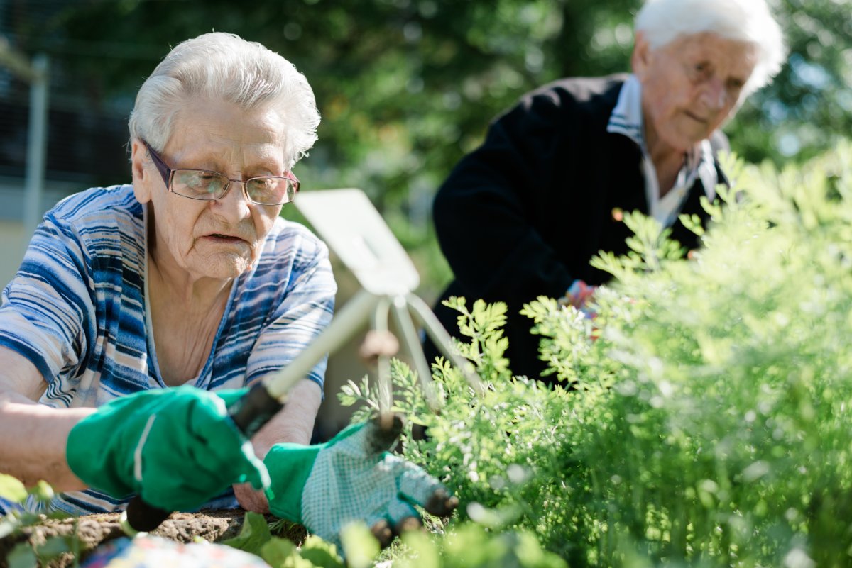 Sozialzentrum Bad St. Leonhard_001