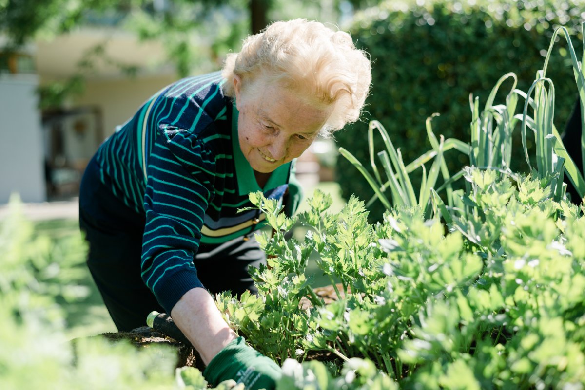 Sozialzentrum Bad St. Leonhard_003